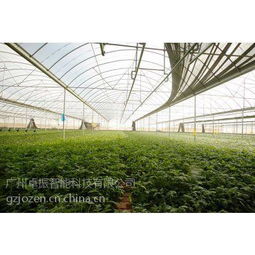 智慧農業之選 卓振智能，大棚種植的領先解決方案